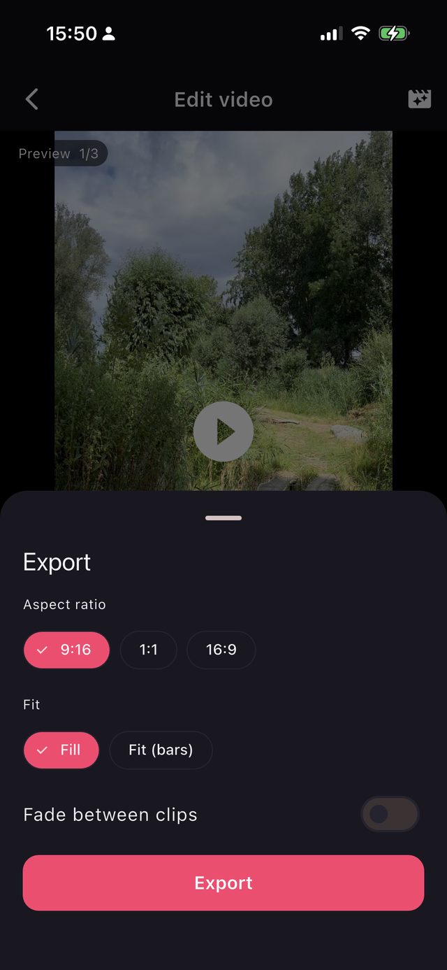 Exporting a video from RawCut